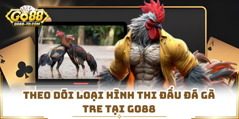 Theo Dõi Loại Hình Thi Đấu Đá Gà Tre Tại GO88