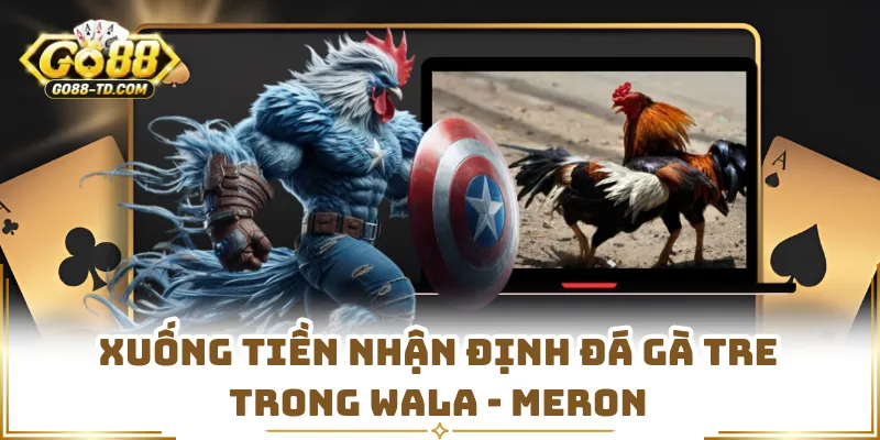 Xuống Tiền Nhận Định Đá Gà Tre Trong Wala - Meron